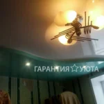 photo_2026-03-31_14-33-12 (4)